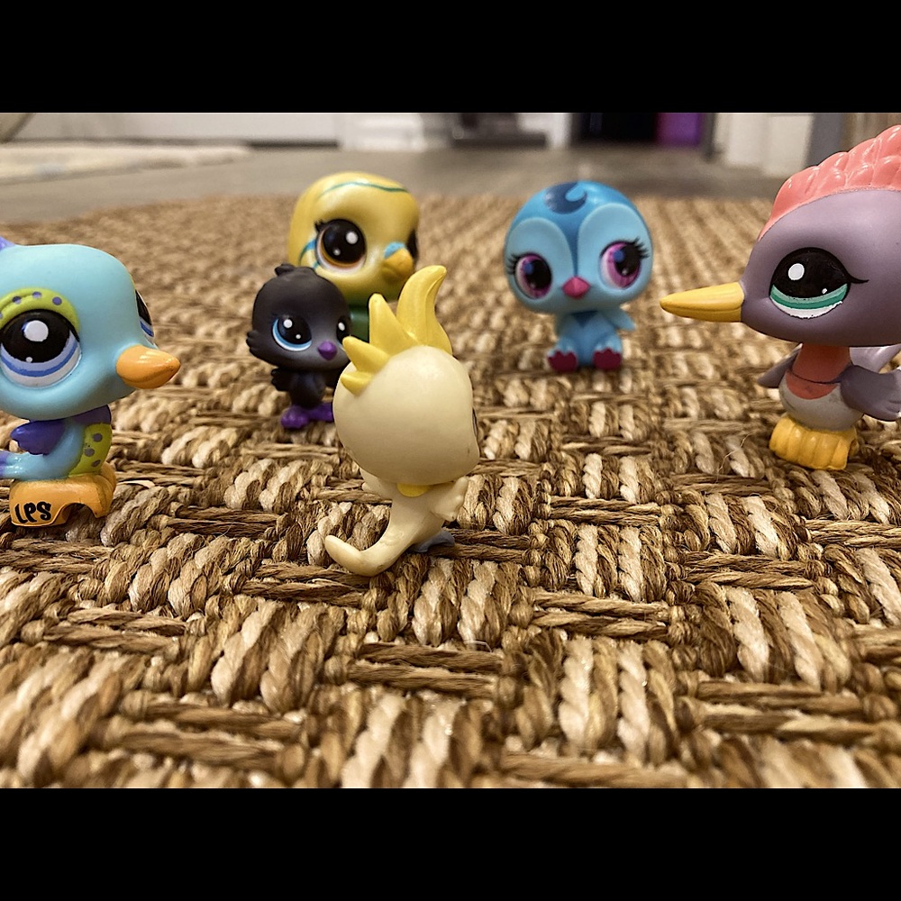 Little Pet Shops 6 pcs bird collection